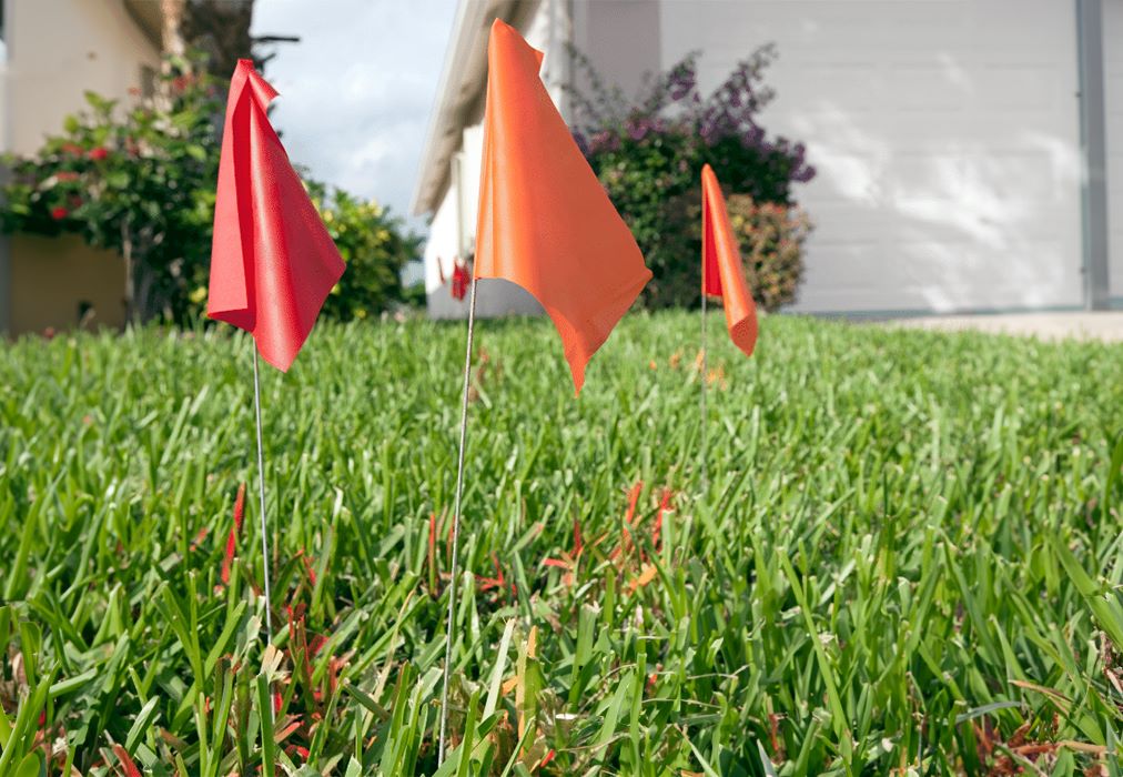 Green lawn with various red and orange flags and spraypaint, indicating utilty lines underground