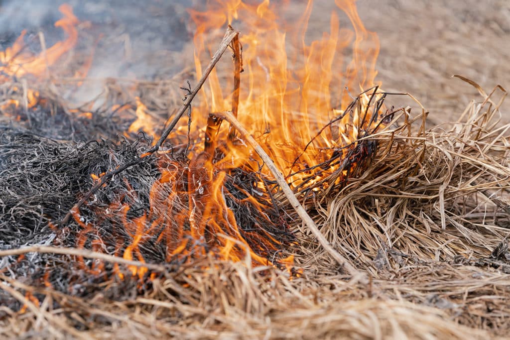 Dry brush and grass is burning in a field.
