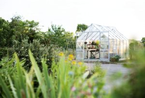 Greenhouse in a landscaped yard