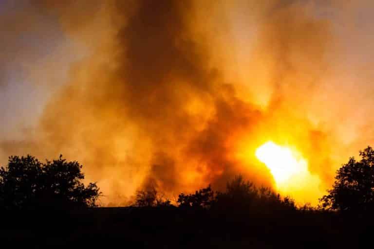 Bright orange smokey sky above silhouette of trees, as a result of wildfire.