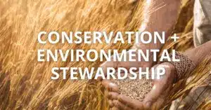 benefit conservation and env stewardship 300x157.png