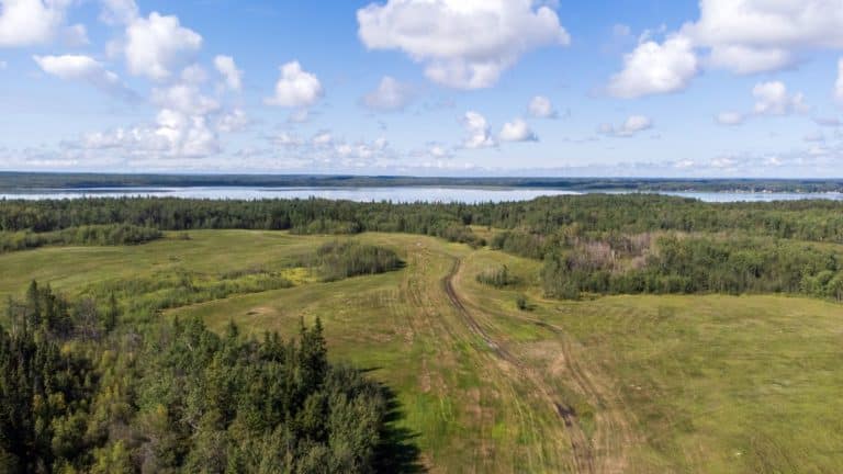 Aerial view of the Sandy Lakes area, showing open grass areas framed by trees. A river and blue sky are in the background.