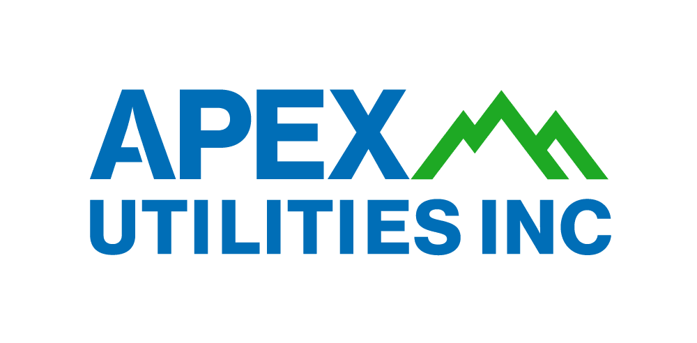 apex logo only colour rgb