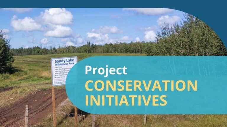 conservation project
