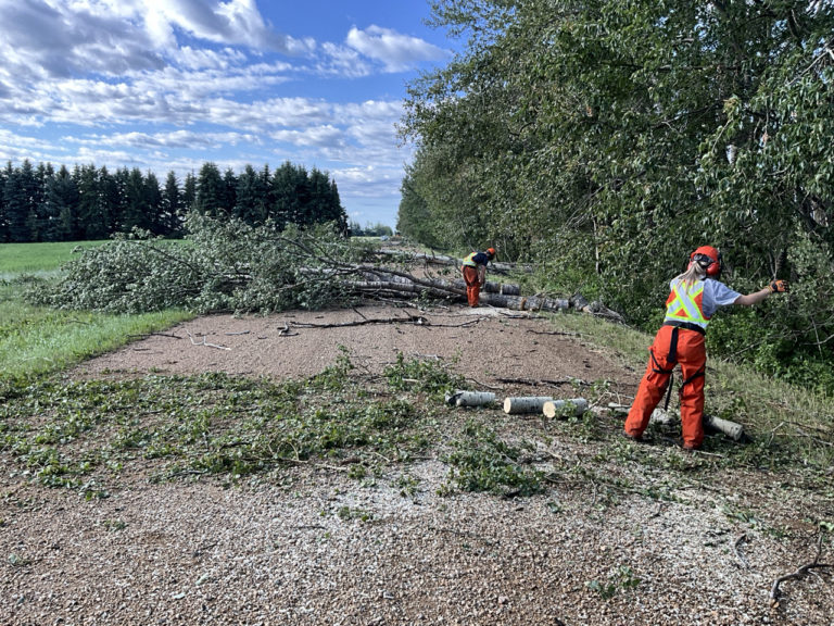 Windstorm July 31 2024 Clean up crews