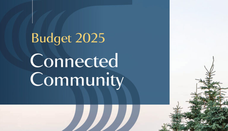 budget2025 cover