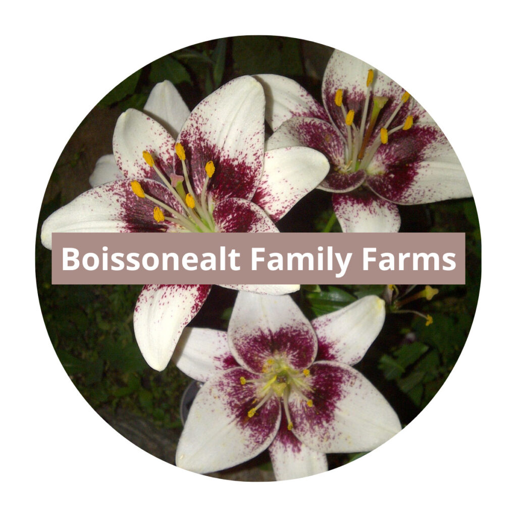 boissonnealt family farms