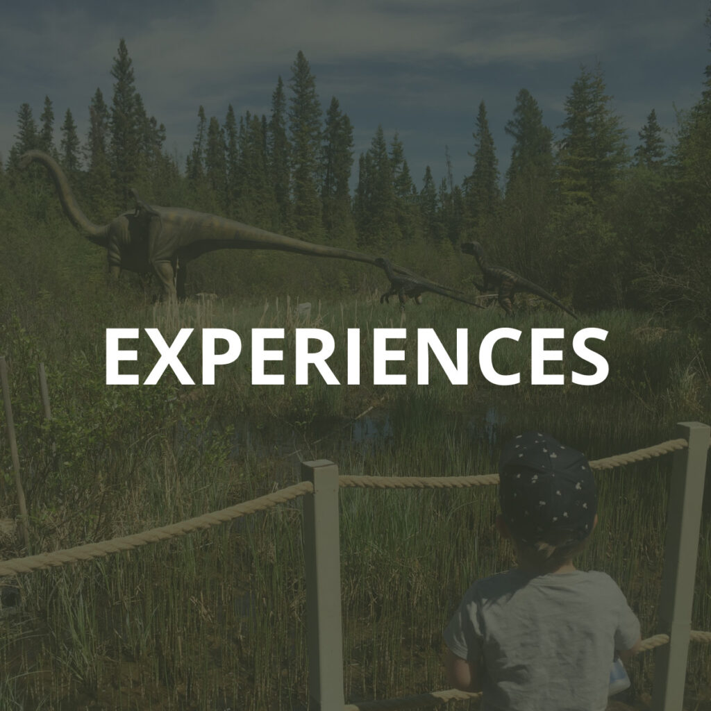 shop local experiences