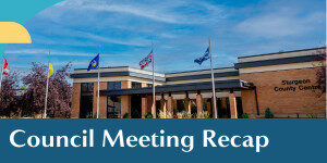 e newsletter (2)