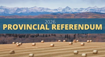 2026 provincial referendum